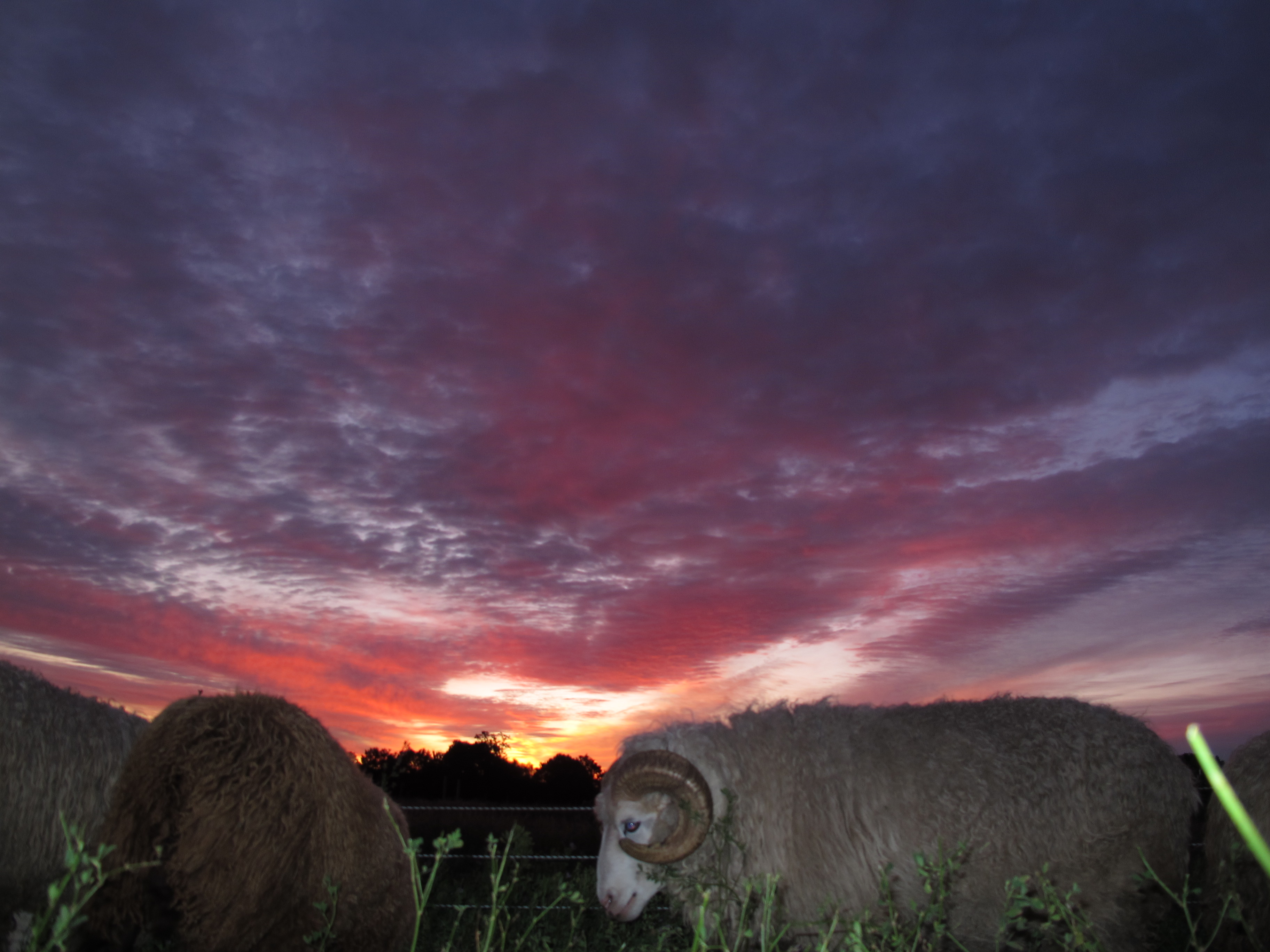 <i>Waking up with the sun</i>